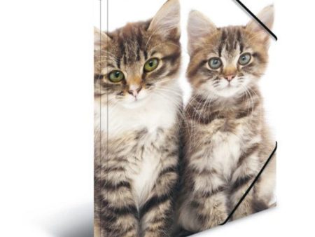 Carpeta de dibujo Animales con motivo Gatos HERMA 7138, A4, plástico resistente, diseño innovador Embalaje Deteriorado Online